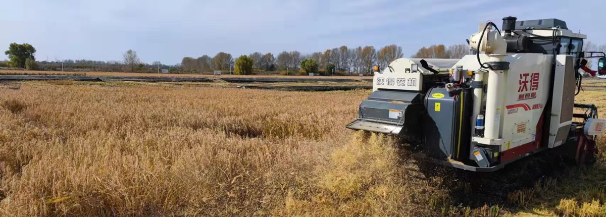 照片-秸秆科学还田指导意见 - 副本.jpg
