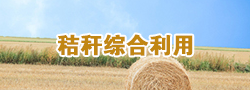 rightpic1220401.png